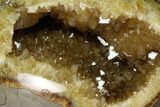 Calcite Crystal Filled Septarian Geode Egg - Utah #160275-1